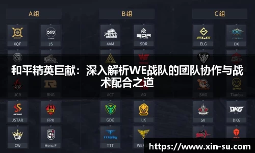 和平精英巨献：深入解析WE战队的团队协作与战术配合之道